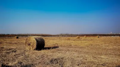 Casholot Kazino Mobilā lietotne